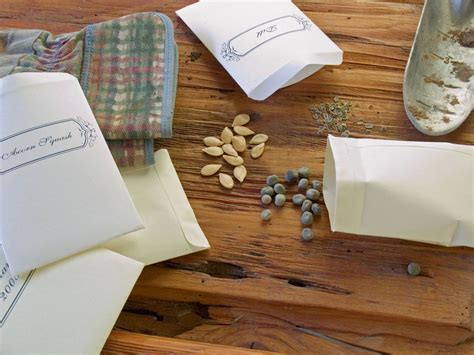 Community Seed Swap Ideas: Learn How To Plan A Seed Swap.